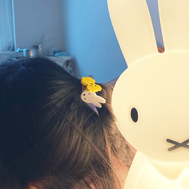 poochuk3さんの実例写真