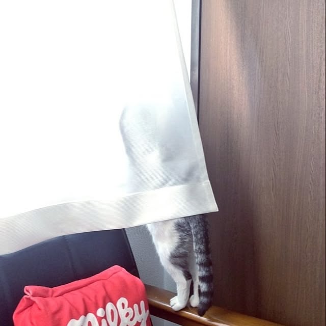 hirukumaさんの部屋