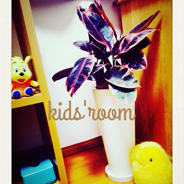 C.Kさんの実例写真