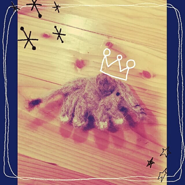 Misakoさんの実例写真