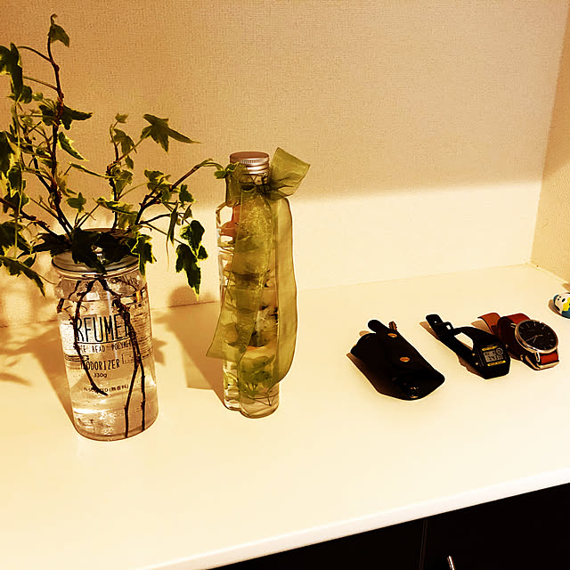 100均/雑貨/ハンドメイド/観葉植物/玄関/入り口のインテリア実例 - 2019-04-14 06:37:03