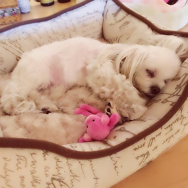 Sonokoさんの実例写真