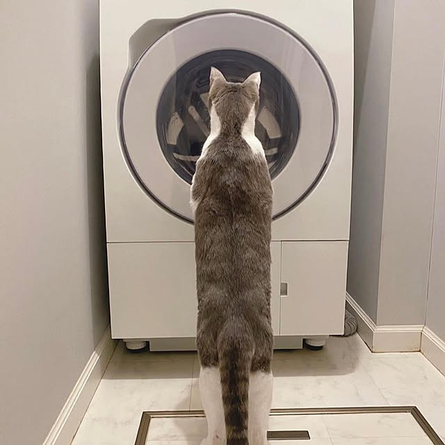 neneさんの部屋