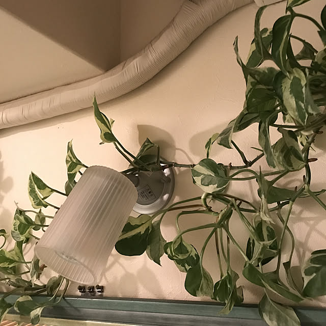 mizucchiさんの実例写真