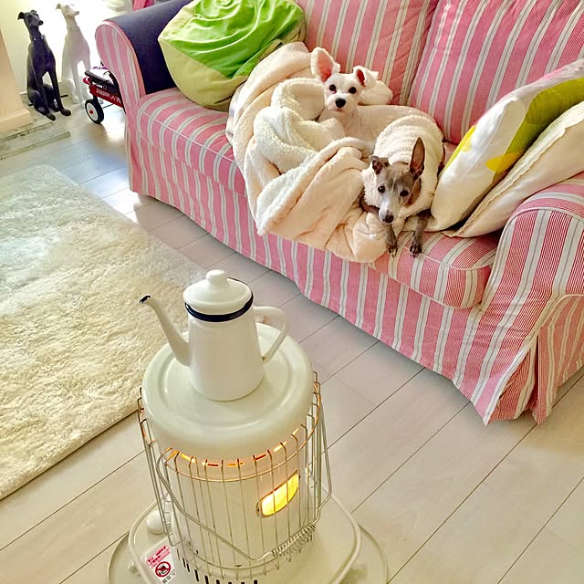 suzyさんの実例写真