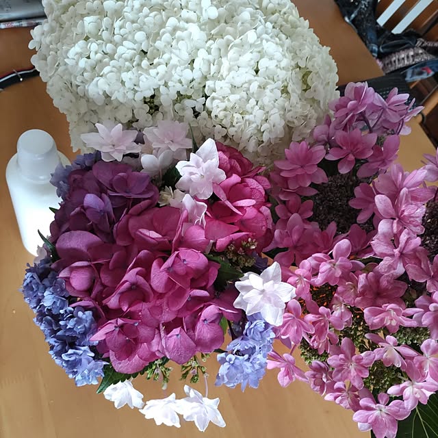salacocoさんの部屋
