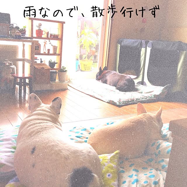 38coreさんの実例写真