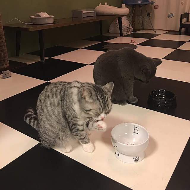 Shojiさんの実例写真