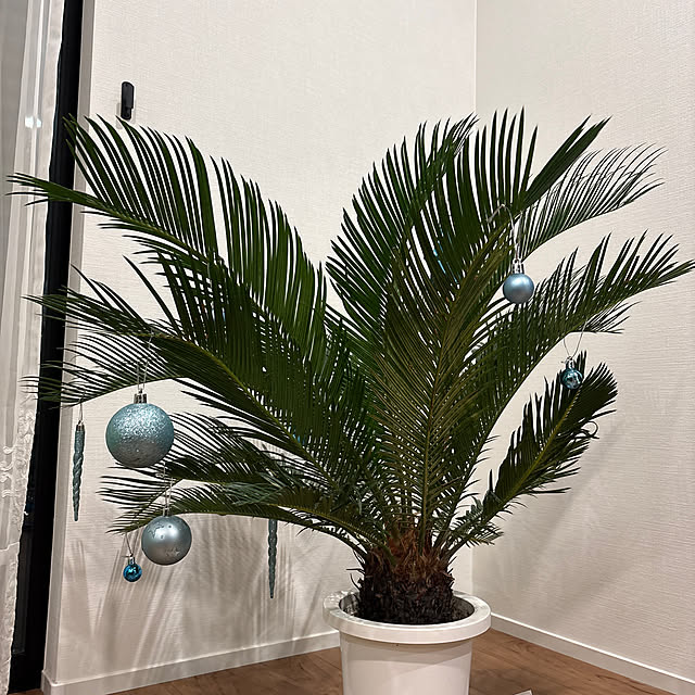 cats_konekoさんの実例写真