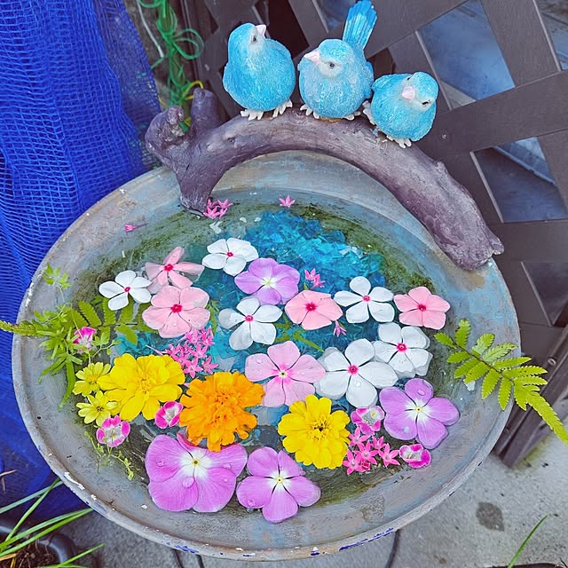 mocomocoさんの実例写真