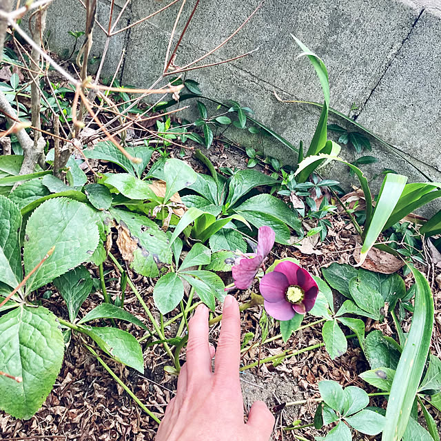 CoCo0617さんの部屋