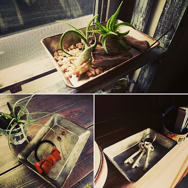 andante365さんの実例写真