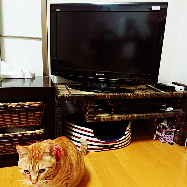 Ayaさんの実例写真