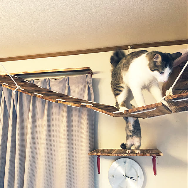 キャットウォーク 吊り橋のおしゃれなアレンジ・飾り方の キャットウォーク 吊り橋のおしゃれなアレンジ・飾り方の