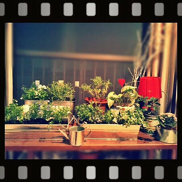 机/植物のインテリア実例 - 2015-01-11 09:25:25