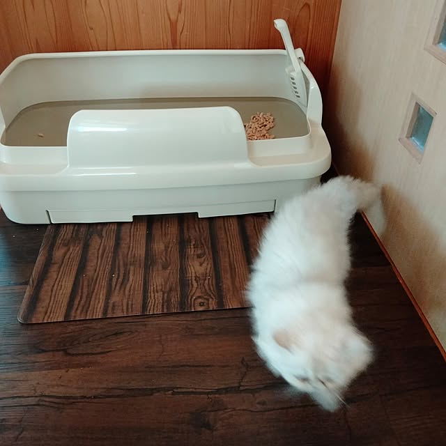 makaronさんの部屋