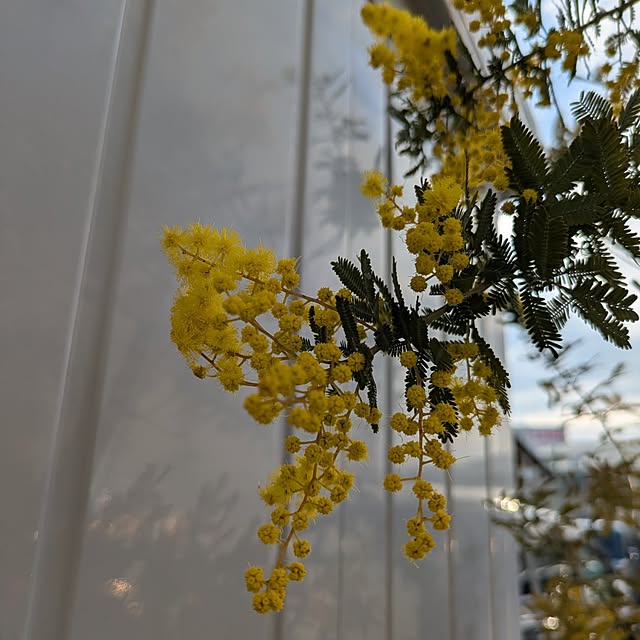 naoさんの部屋