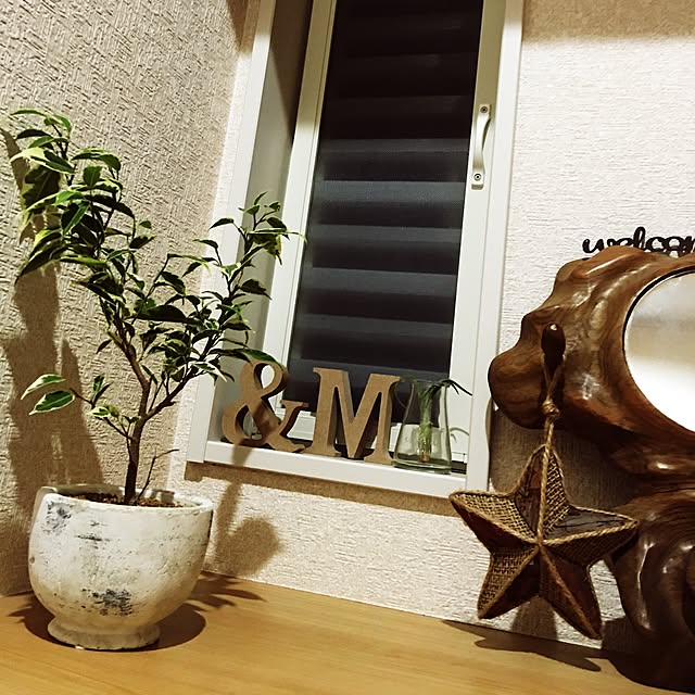 starvega7lionさんの実例写真