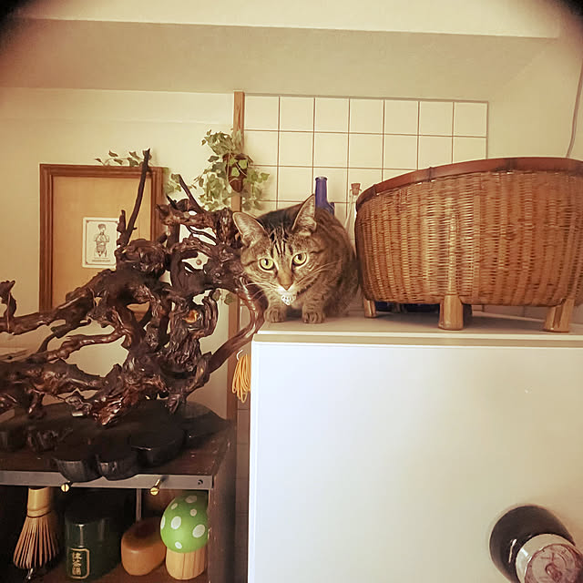 Mさんの部屋