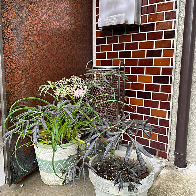 shin0719さんの部屋
