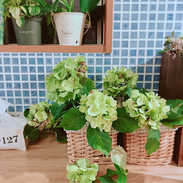 sudachiさんの実例写真