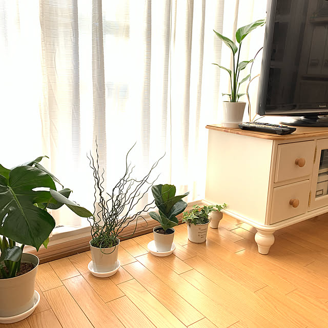 Kyokoさんの実例写真
