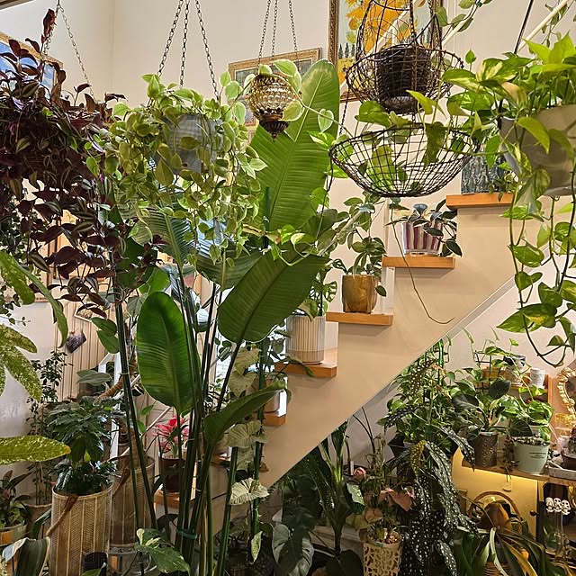 nonbiri_house_さんの部屋