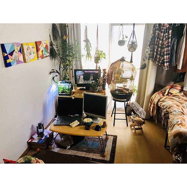 parrotさんの実例写真