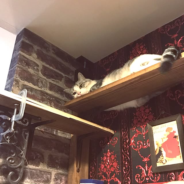 emmyyさんの実例写真