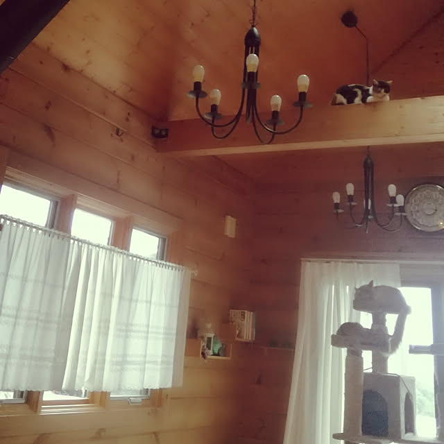 Maki-nekomamireさんの実例写真