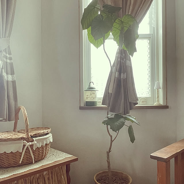 AcchanSaysさんの部屋