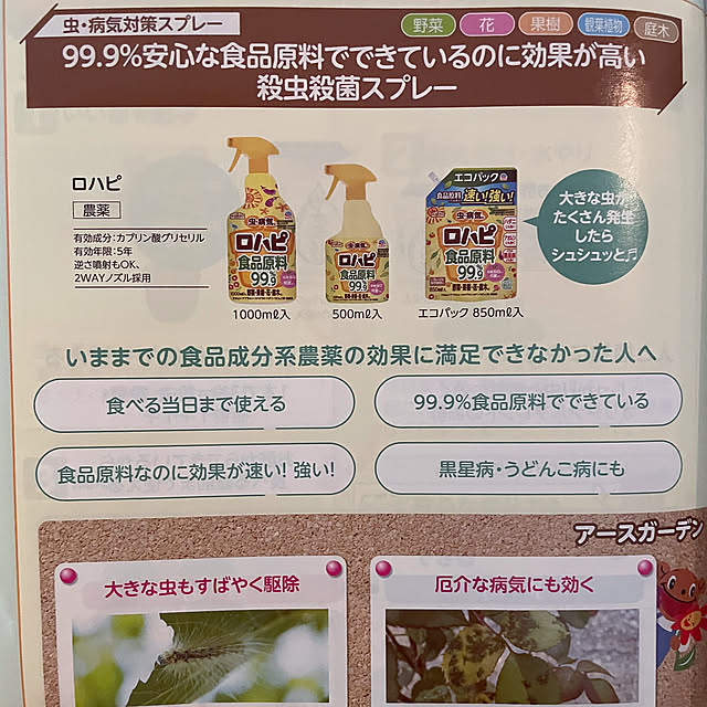 marucoさんの部屋