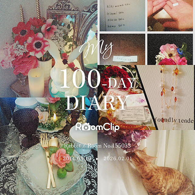 Rabbitさんの実例写真