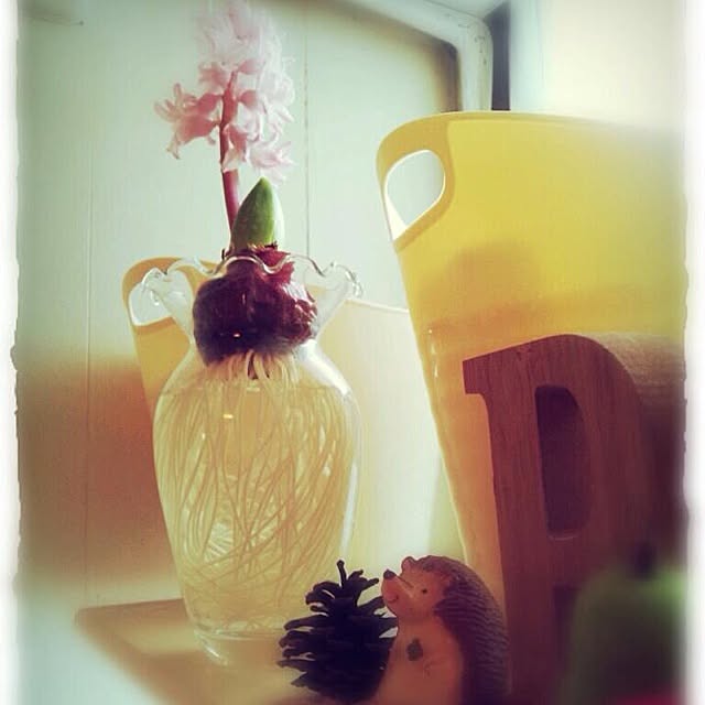 south0406さんの実例写真