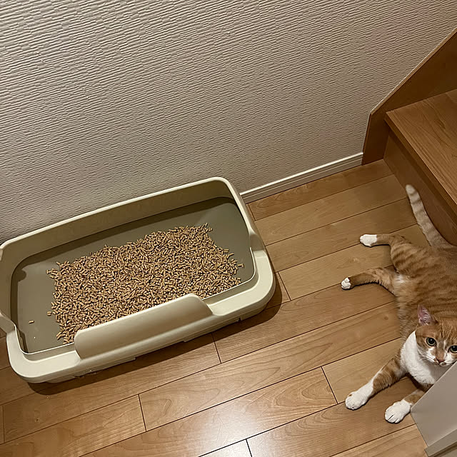MEさんの実例写真