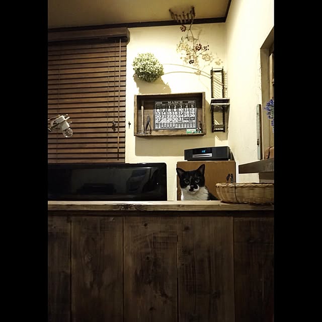 jnkaiさんの実例写真