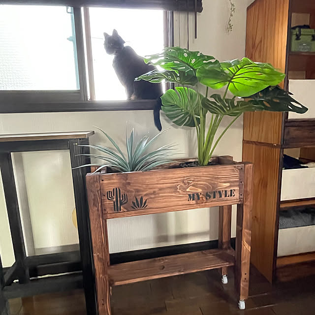 momocchiさんの部屋