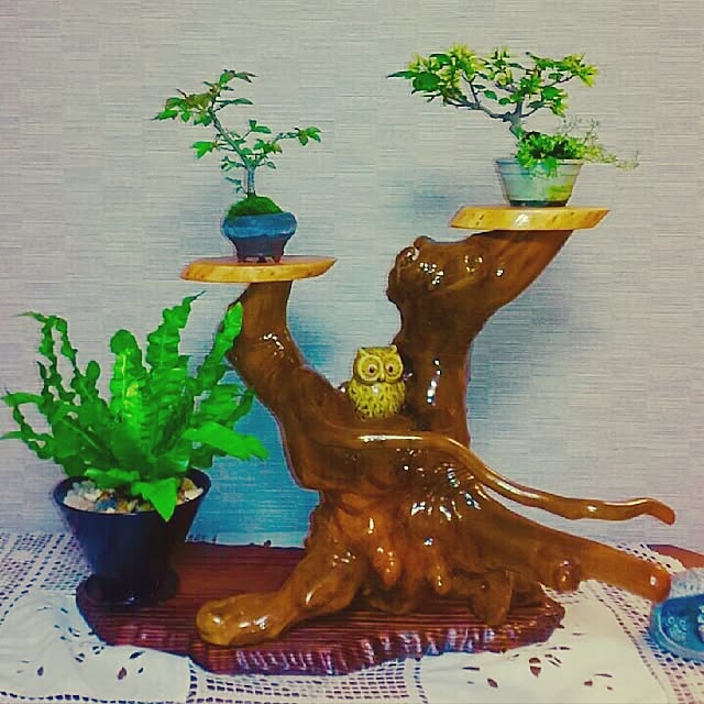 sa-yaさんの実例写真