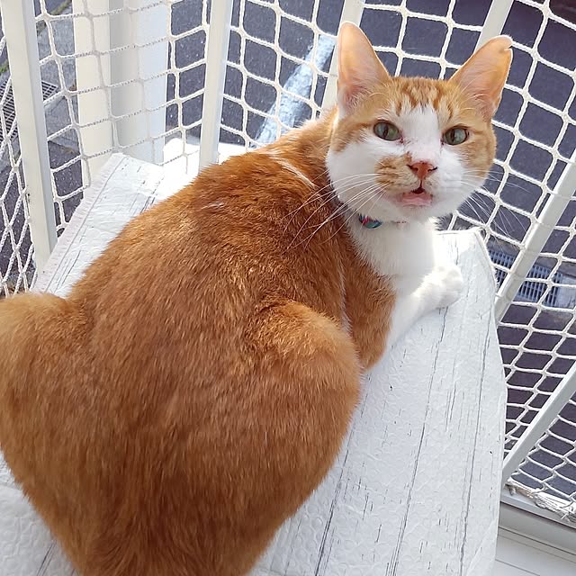 yumiさんの実例写真