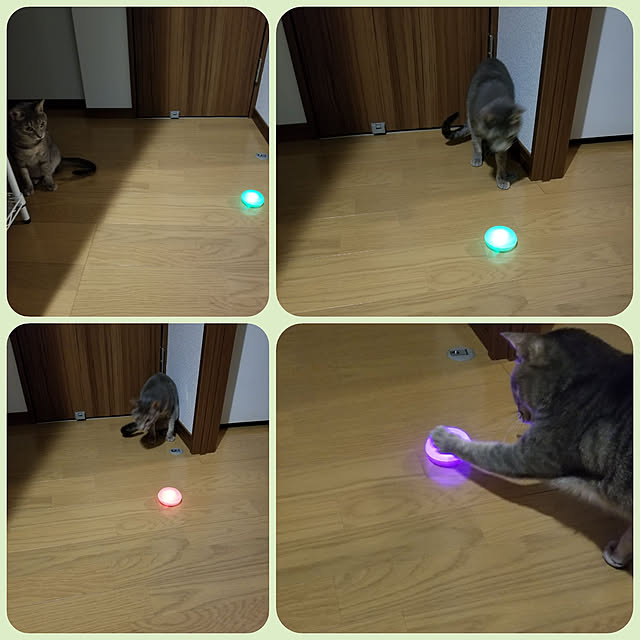 yukiさんの実例写真