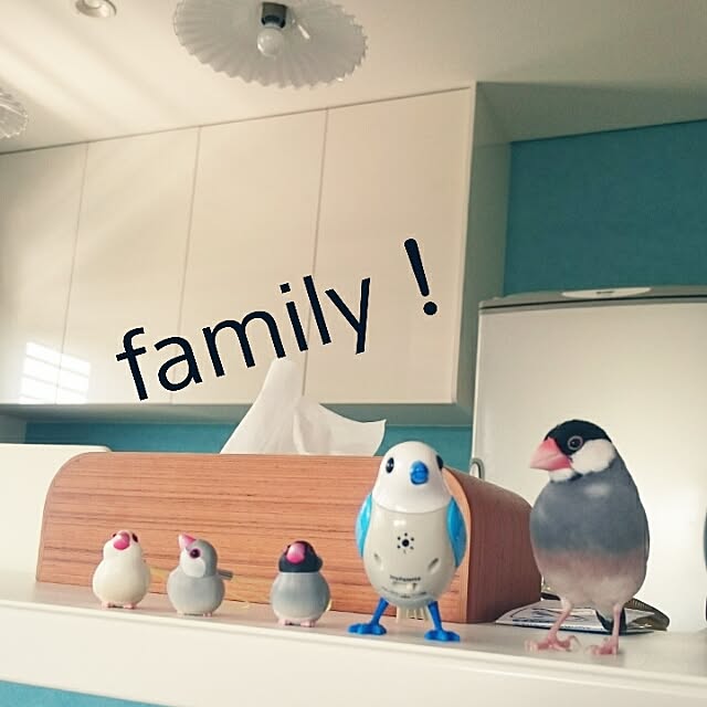 cherryさんの実例写真