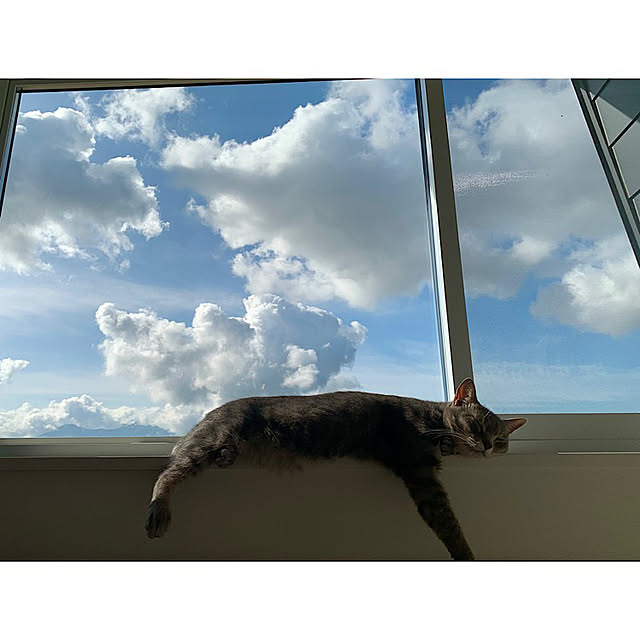 cocokuro0124さんの実例写真