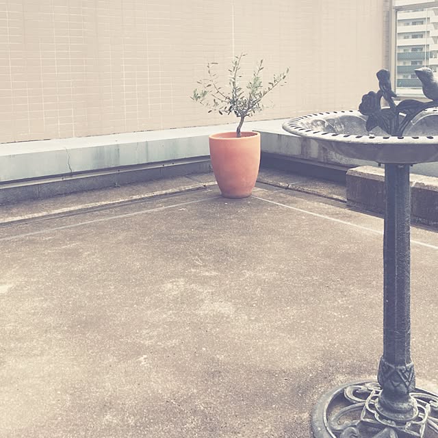 blancさんの実例写真