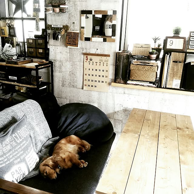 noaさんの実例写真
