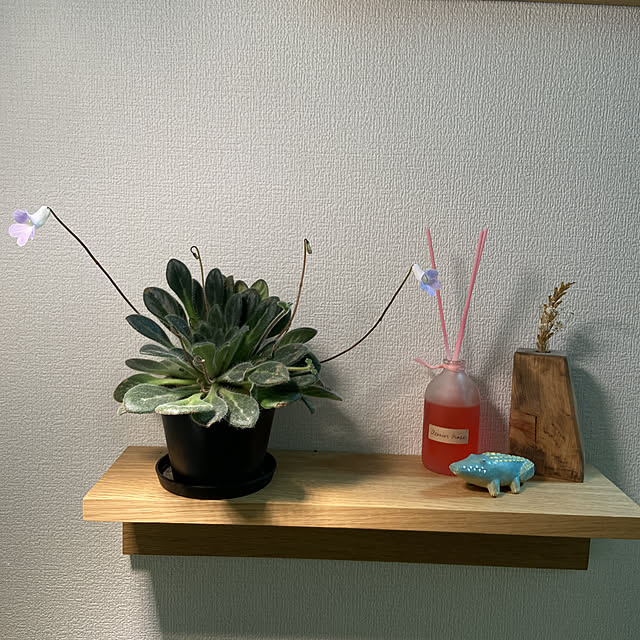 Shikanosukeさんの実例写真