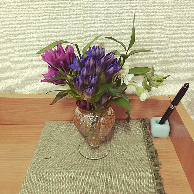 Yukoさんの実例写真