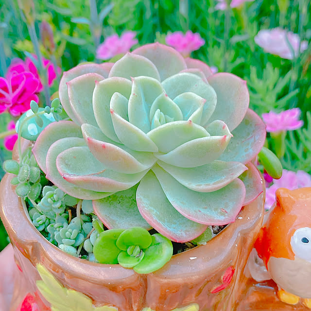 Hanakaさんの実例写真