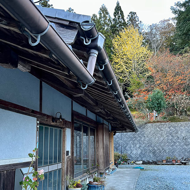 cota2さんの部屋