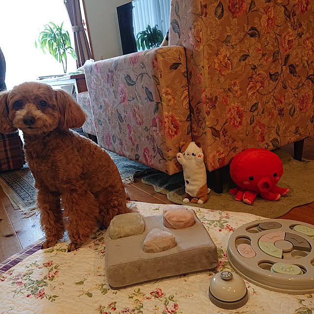 kero4mamaさんの実例写真