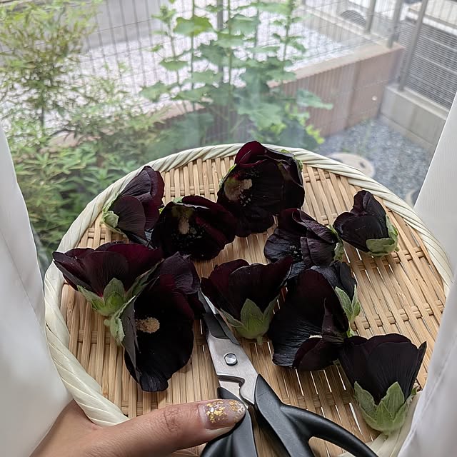 Rororiさんの実例写真